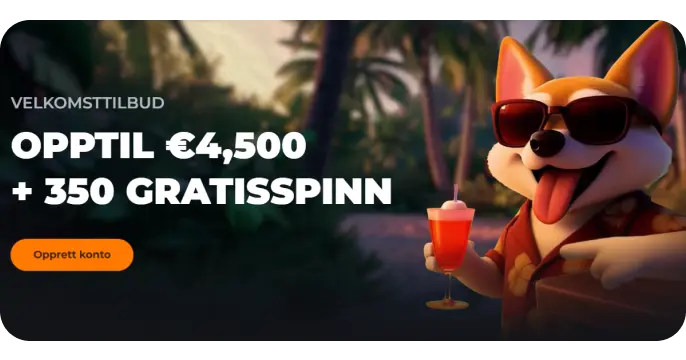 corgibet no